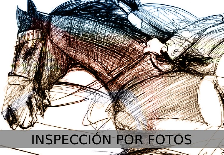 Imagen noticia